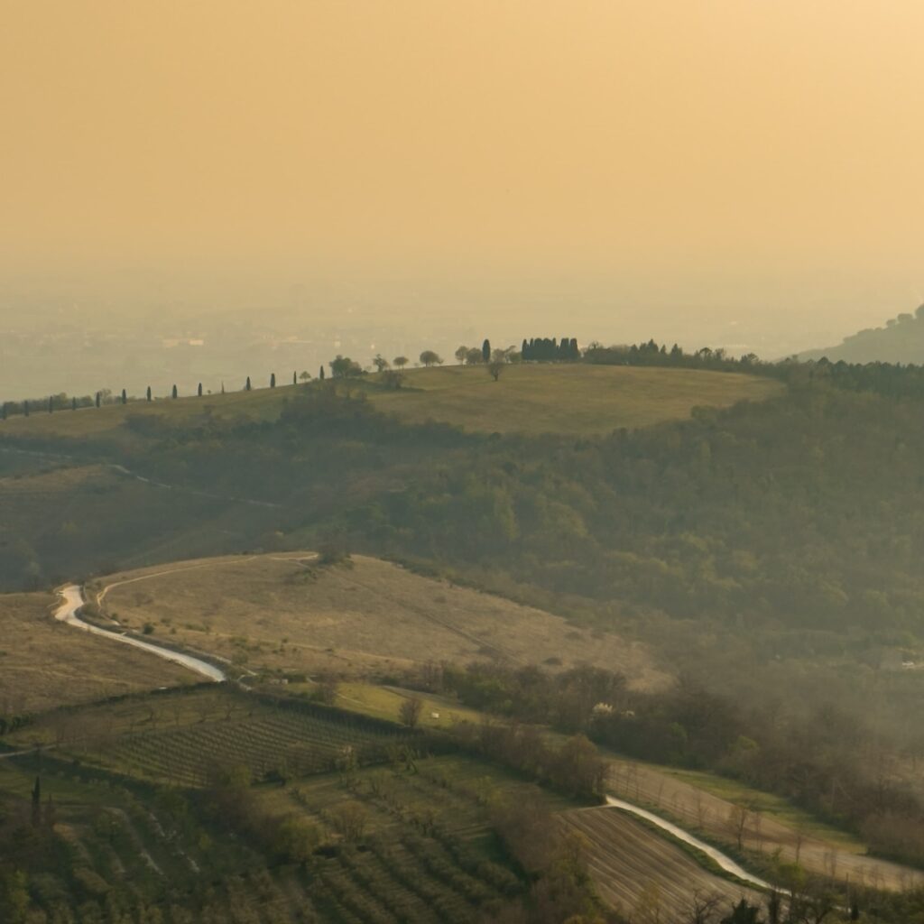 Giornata Ecologica con Eszendo sui Colli Euganei